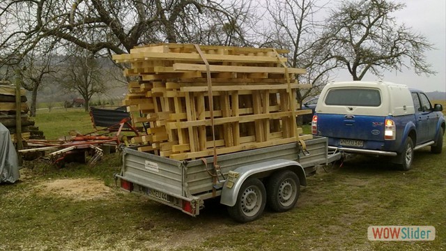 orig_Holzaktion_011
